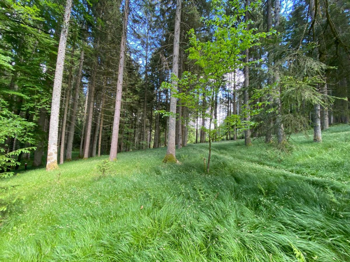 Ferienhaus Plattenstein Kirchberg  Eksteriør bilde