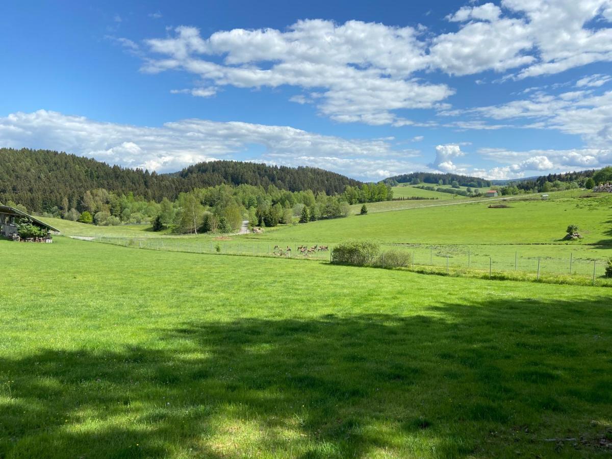 Ferienhaus Plattenstein Kirchberg  Eksteriør bilde