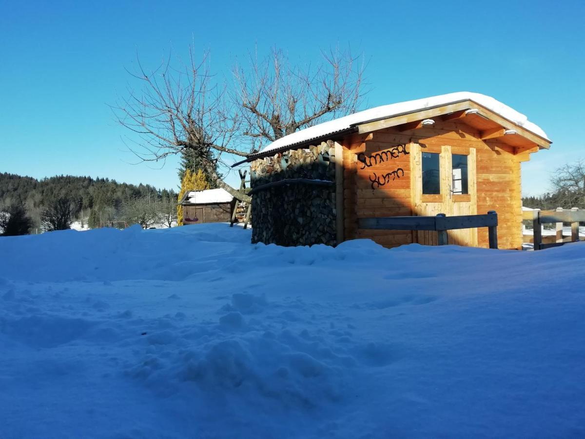 Ferienhaus Plattenstein Kirchberg  Eksteriør bilde